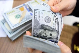 Vietnam’s forex reserves forecast to recover by year-end
