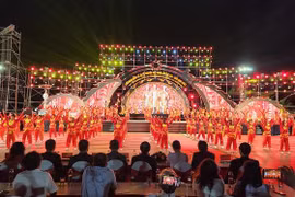 International Festival of Vietnamese Traditional Martial Arts opens in Binh Dinh