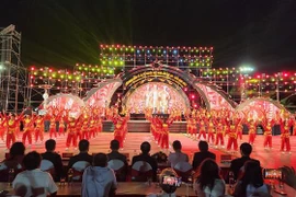 International Festival of Vietnamese Traditional Martial Arts opens in Binh Dinh