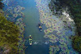 Conservation of wetland habitats contributes to carbon storage