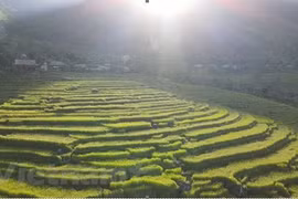 Pu Luong – a paradise amidst jungle for travellers on budget