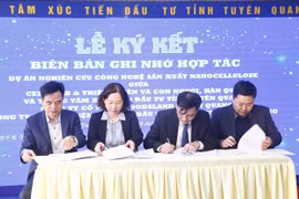 Tuyen Quang sets sights on developing nanocellulose production technology