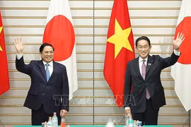 Vietnam, Japan enjoy strong connectivity: Deputy PM