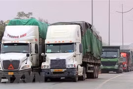 Nearly 4,000 traverse Mong Cai int’l border gate 