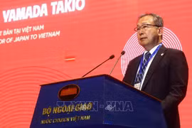 Vietnam an important partner in Japan’s diplomacy: Japanese ambassador