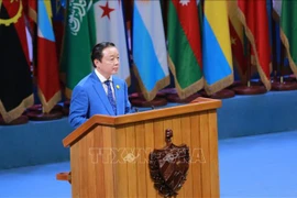 Vietnam calls for Southern development collaboration 