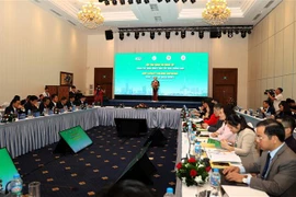 Seminar shares international experiences in building smart cities