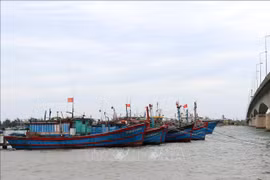 Binh Thuan determined to crack down on illegal fishing vessels