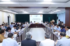Workshop looks to promote oveaseas Vietnamese intellectuals' potential