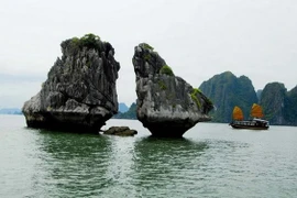 Conservation of Ha Long Bay iconic rocks to comply with world convention: Authority