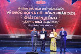 First Dien Hong Awards honours 67 works