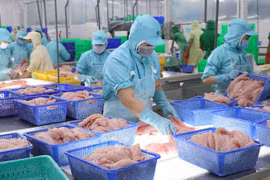 Seafood firms look to second quarter for exports to recover