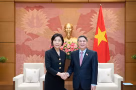 Vietnam attaches importance to developing relations with RoK: official