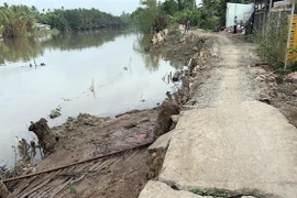 Mekong Delta faces increasing erosion
