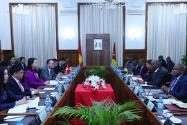 Vice President holds talks with Mozambican Prime Minister in Maputo