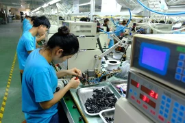 UNDP official applauds Vietnam’s economic, social security, climate moves