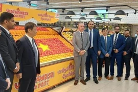 Economic cooperation a bright spot in Vietnam – UAE relations: Diplomat