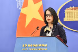 Activities in East Sea must strictly comply with int’l law: deputy spokeswoman