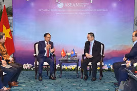 Vietnamese FM meets ASEAN Secretary-General in Jakarta