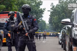 Indonesia discovers three human trafficking rings in border areas