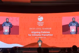High-level ASEAN seminar talks aligning policies for climate transition