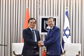 Vietnam treasures friendship, cooperation with Israel: Deputy PM