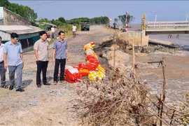 Erosion along Bac Lieu coast