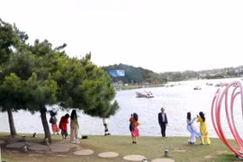 23rd Vietnam Film Festival to take place in Da Lat this November