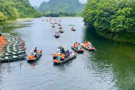 Domestic market to drive tourism recovery in 2023: insider