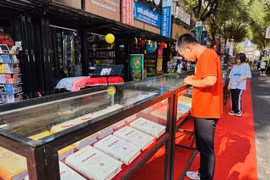 HCM City eyes UNESCO recognition as World Book Capital