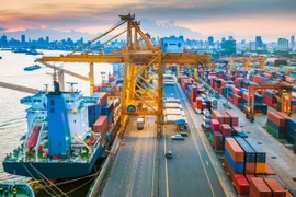WTO Director-General’s visit reflects significant attention to Vietnam’s development: official
