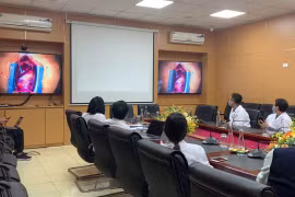 Telehealth sessions key factor in health sector's digital transformation