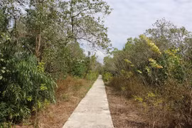 Mekong Delta tightens fire prevention measures