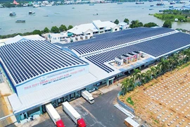 Vietnam must step up carbon reduction to enter EU markets