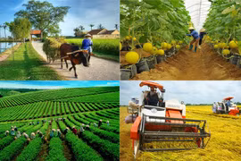 Agriculture sector continues to focus on three key programmes