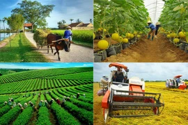 Agriculture sector continues to focus on three key programmes