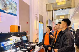 Domestic ICT firms well-positioned to reach out to the world