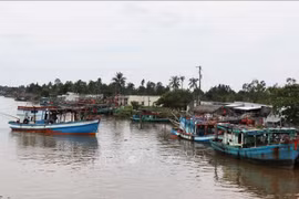Ca Mau resolutely combats IUU fishing