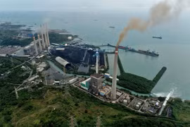 Indonesia needs 13.3 billion USD to cut emissions in forest and land use