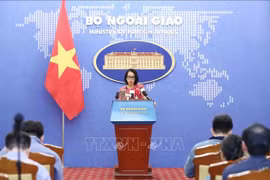 Vietnam, China strive for people’s happiness, humankind’s progress: FM spokeswoman 