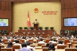 Specific mechanisms, policies for HCM City’s development under NA’s consideration