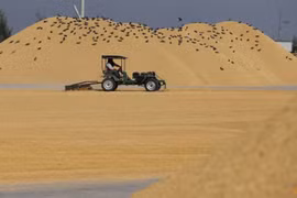 Thailand raises rice export target to 8.5 million tonnes in 2023