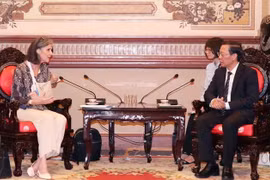  HCM City hopes to cooperate with UNDP in more specific projects: Municipal leader
