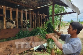 Multidimensional poverty rate to reduce to 2.93% at end of 2023