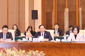 Vietnam attends 8th MLC Foreign Ministers' Meeting in China