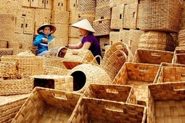 Vietnamese firms get support to protect intellectual property abroad