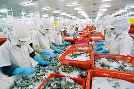 Vietnam's exports to US favourable: official