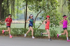 Trang An Marathon makes debut with 3,000 runners