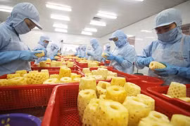 Good signs seen in fruit, vegetable export