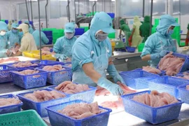 Seafood exports bustle again in year-end period
